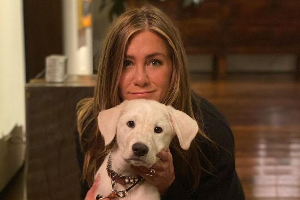 Jennifer Aniston Rescue Adopt