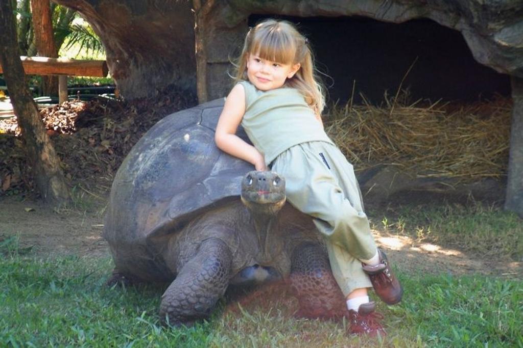 Bindi Irwin Tortoise Zoo