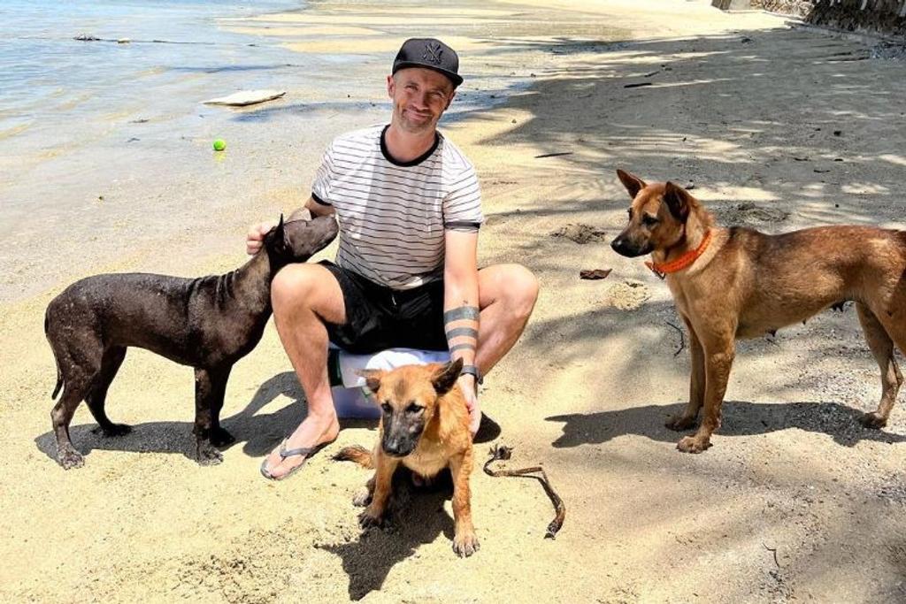 Dogs Beach Thailand Rescues