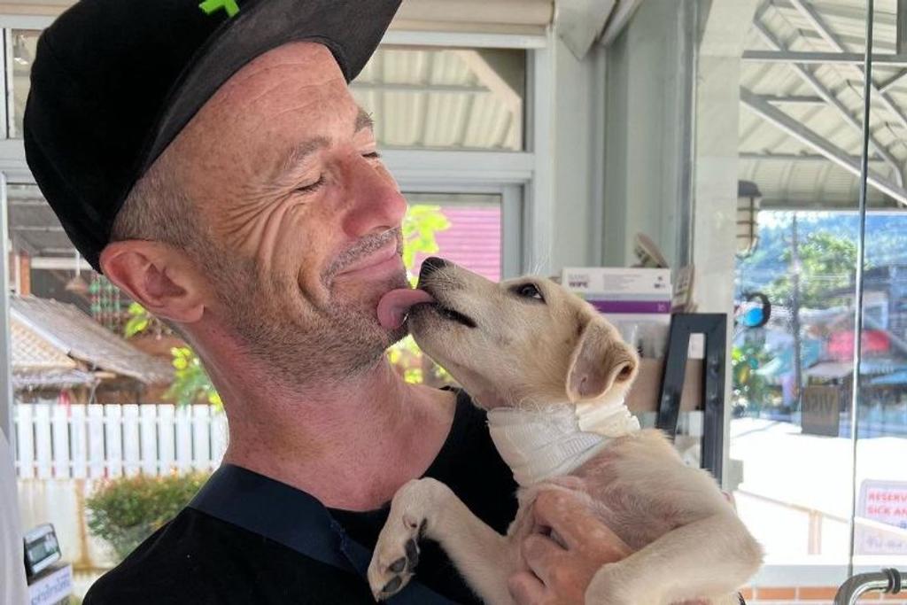 heartwarming rescue dog Thailand