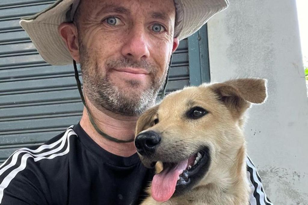 Niall Harbison Dogs Thailand