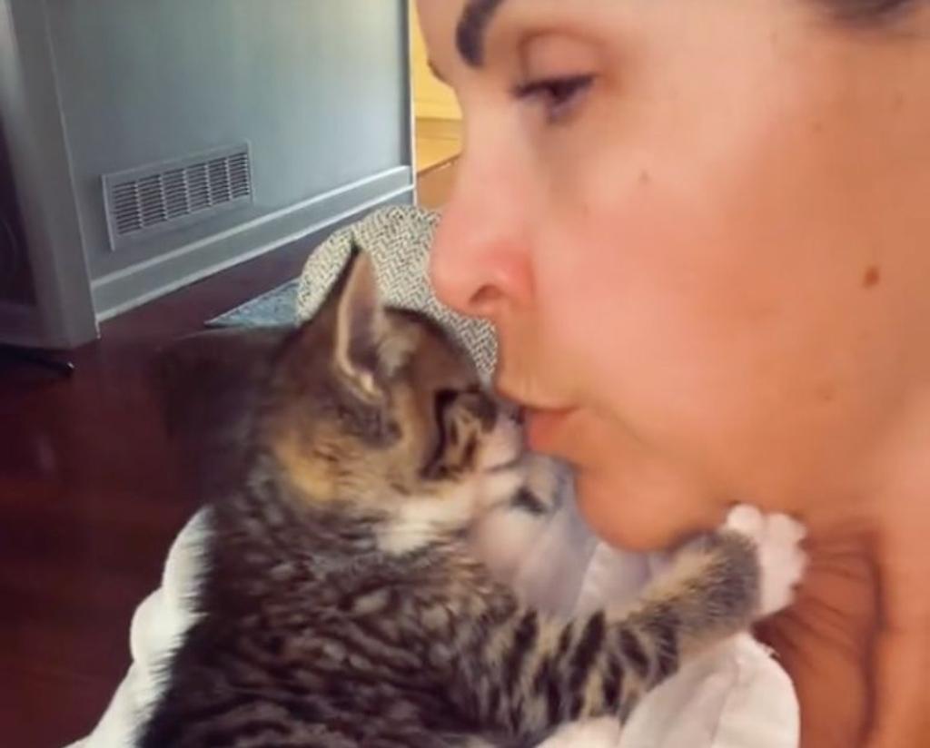 kitten viral rescue story