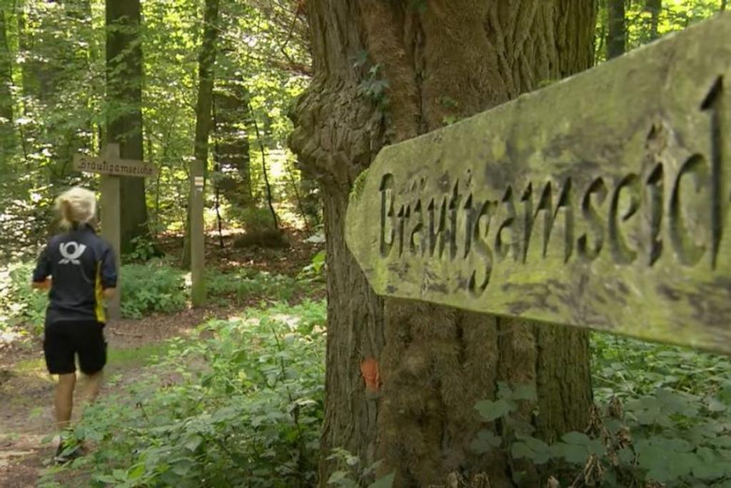 Germany love tree story