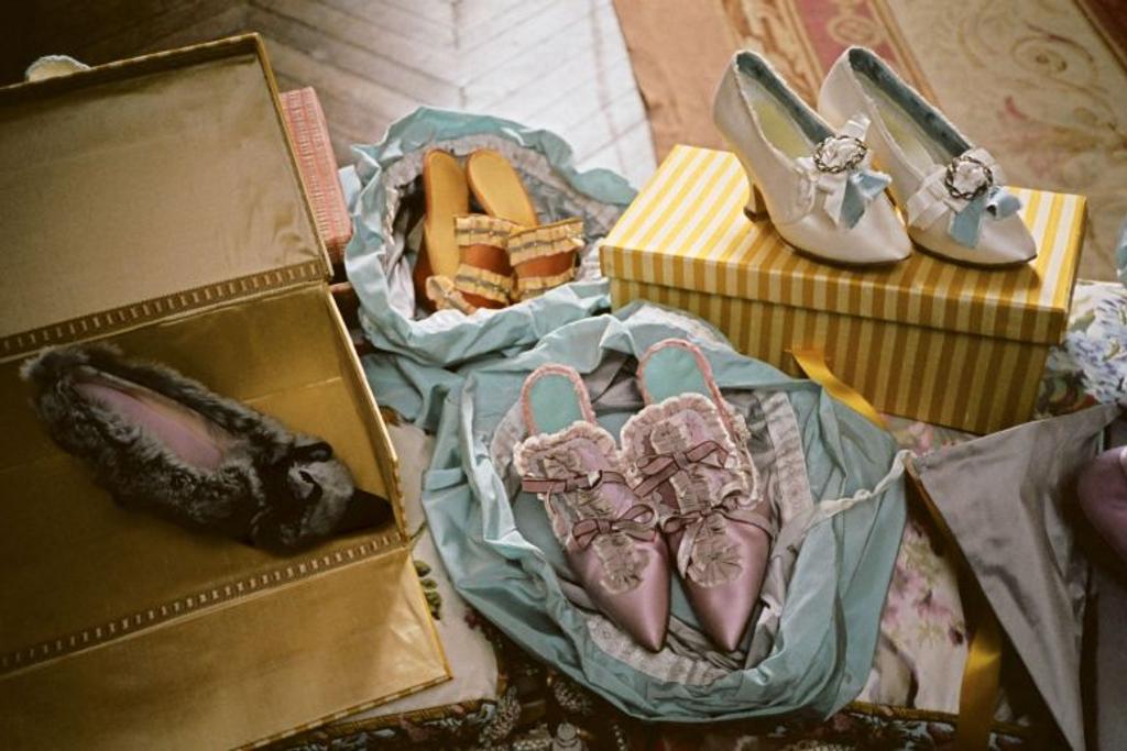 Marie Antoinette Shoes French